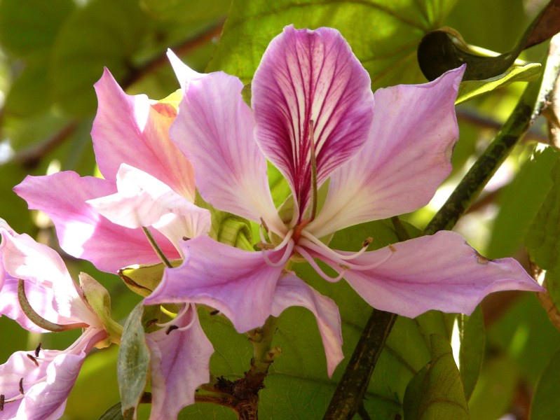 MA09039 copie.jpg
